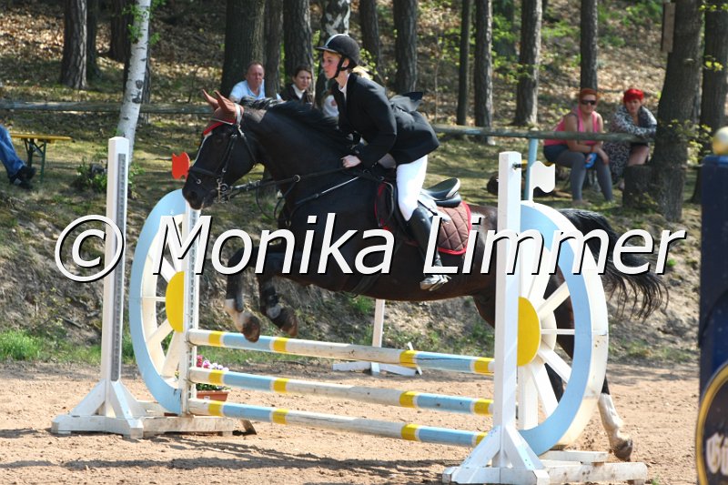 204M2619_Eldorado_Stil E.JPG